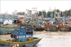 Mekong Delta provinces step up crackdown on IUU fishing